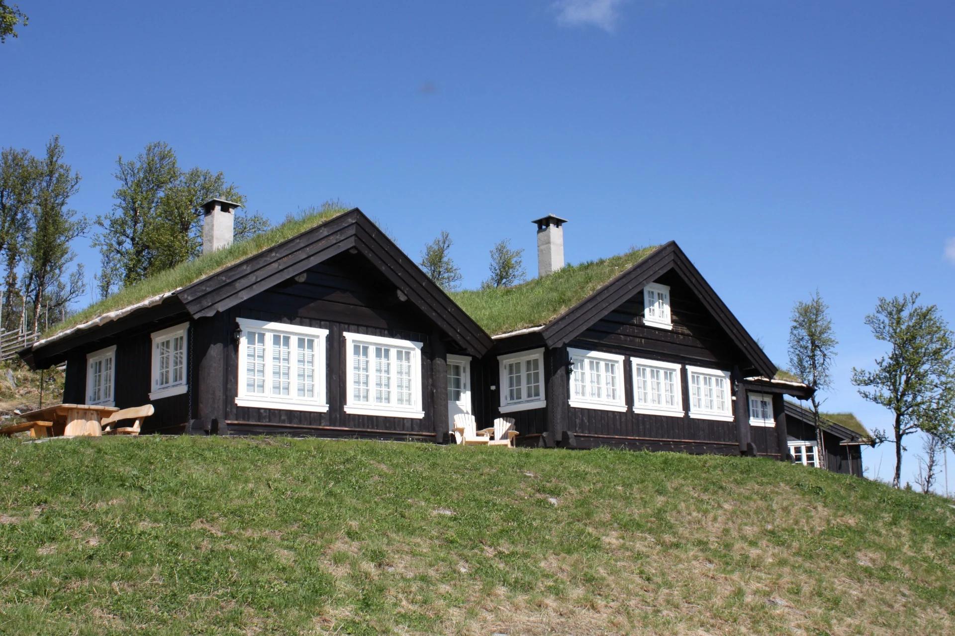 A dark log cabin with a sod roof and white windows on a green slope